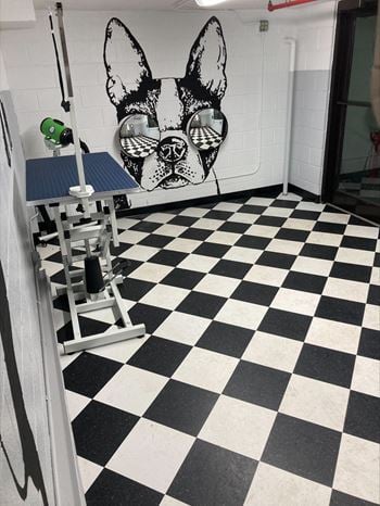 Dog wash station